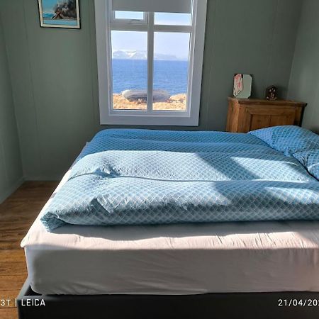 Happy-Cove Guesthouse - By The Sea Bakkafjorthur Dış mekan fotoğraf