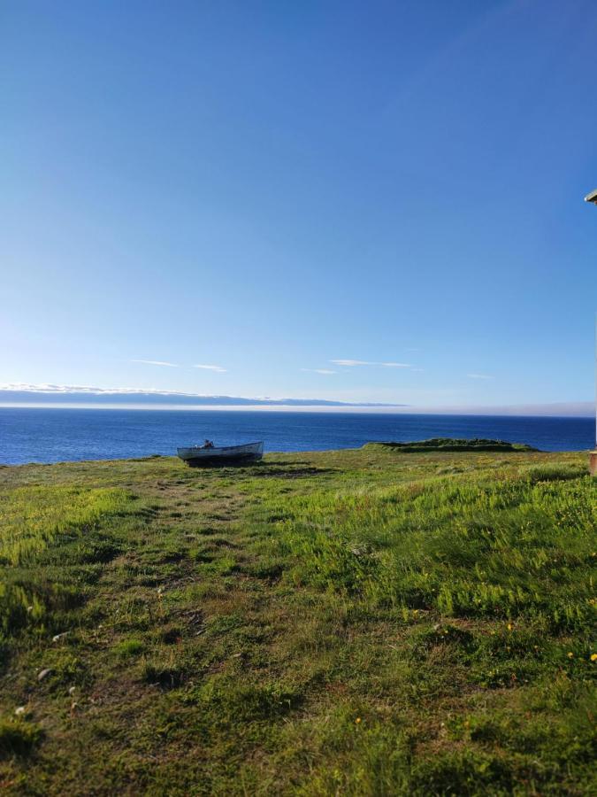Happy-Cove Guesthouse - By The Sea Bakkafjorthur Dış mekan fotoğraf