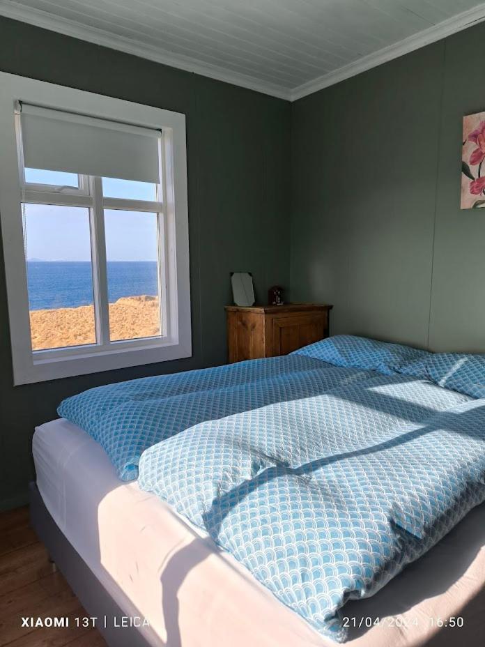 Happy-Cove Guesthouse - By The Sea Bakkafjorthur Dış mekan fotoğraf