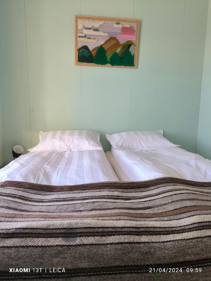 Happy-Cove Guesthouse - By The Sea Bakkafjorthur Dış mekan fotoğraf