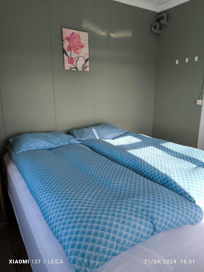 Happy-Cove Guesthouse - By The Sea Bakkafjorthur Dış mekan fotoğraf